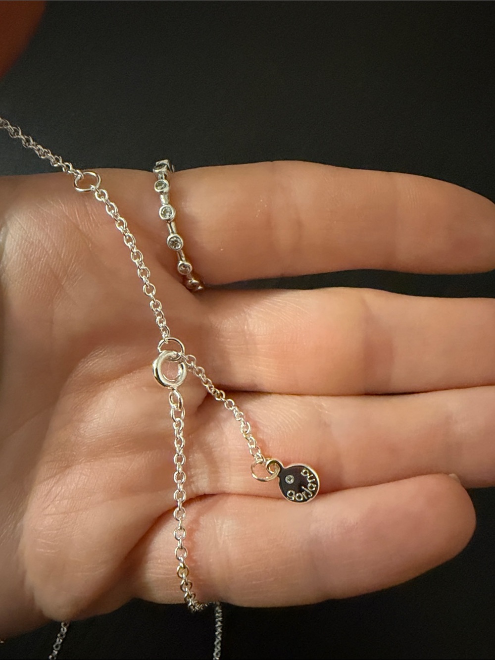 Gorjana Crew Interlocking Necklace- Silver - Picture 3 of 3